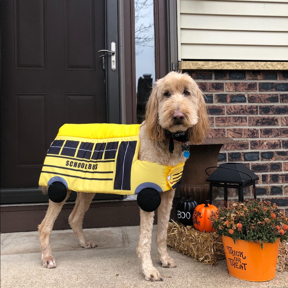 Dog School Bus Costume